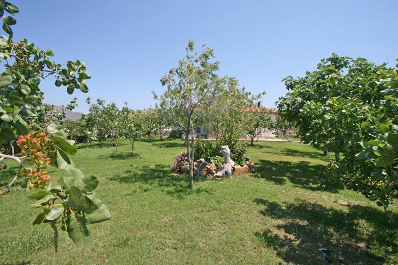 Villa Eleana Chania  Exterior photo