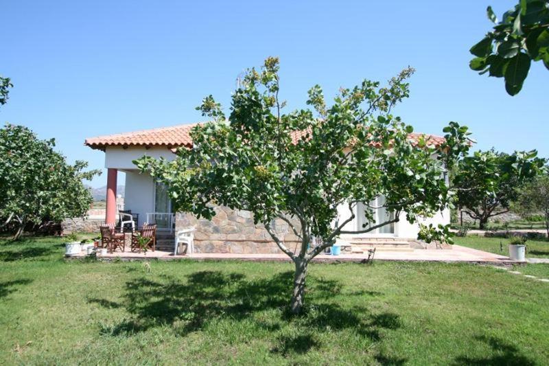 Villa Eleana Chania  Exterior photo